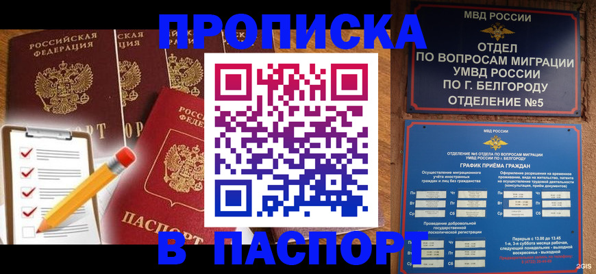 прописка 2025 в Покрове